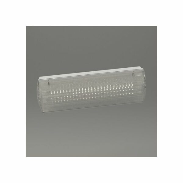 Emergency Light - IP64 Compact LED Bulkhead - Image 3